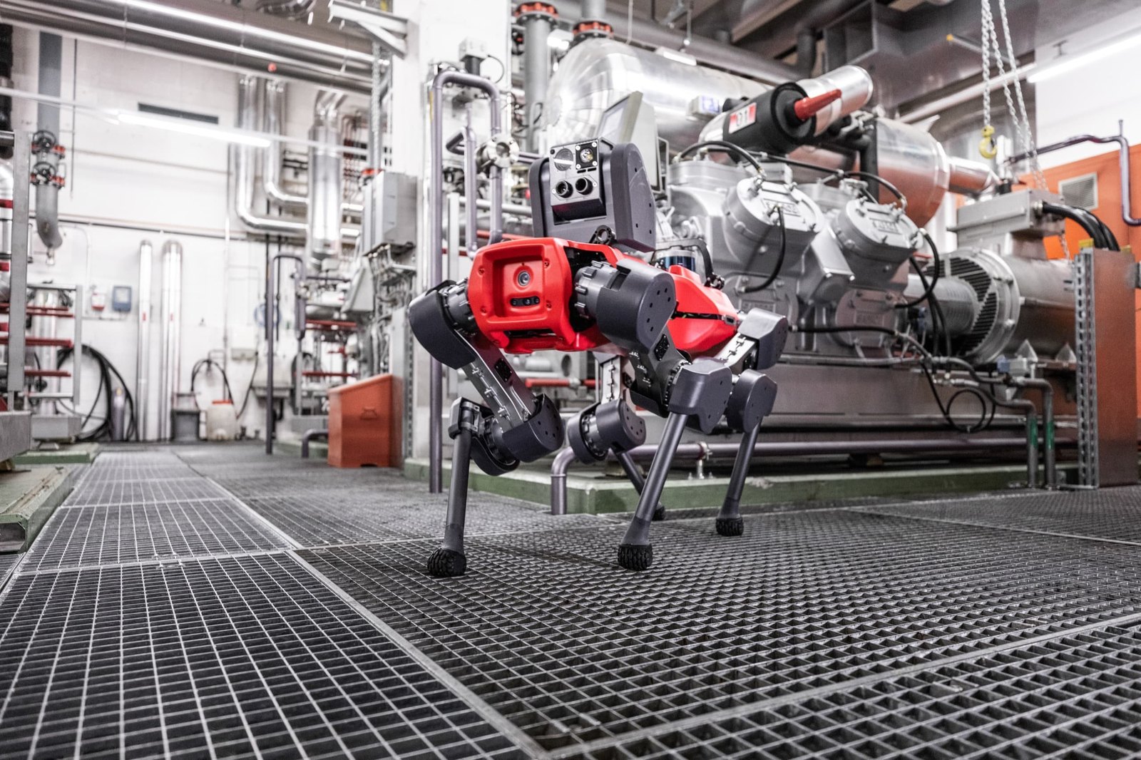 Робот-собака ANYbotics ANYmal — общий вид на промышленной установке